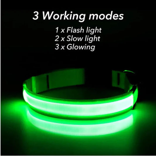 USB Rechargeable LED Dog Collar — Night Safety Glow